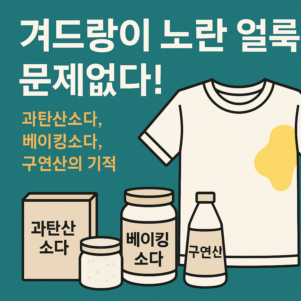 ChatGPT Image 2025 8 7 11 12 09