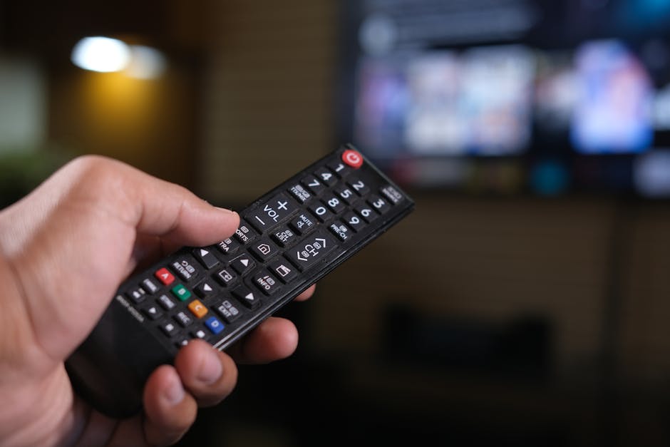 TV 앞에서 리모컨을 들고 있는 장면