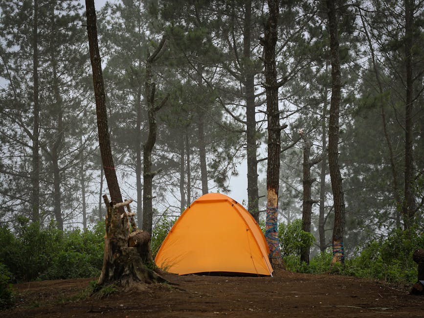 A vibrant orange tent set amidst tall trees in a m