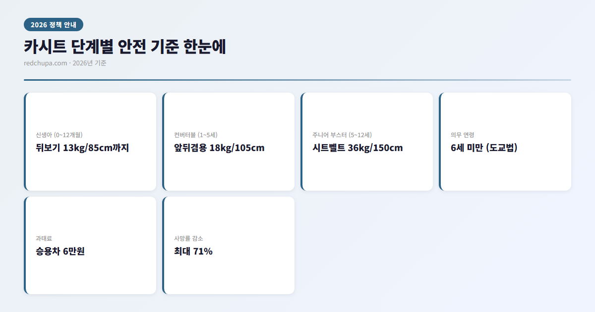카시트 단계별 안전기준 인포그래픽