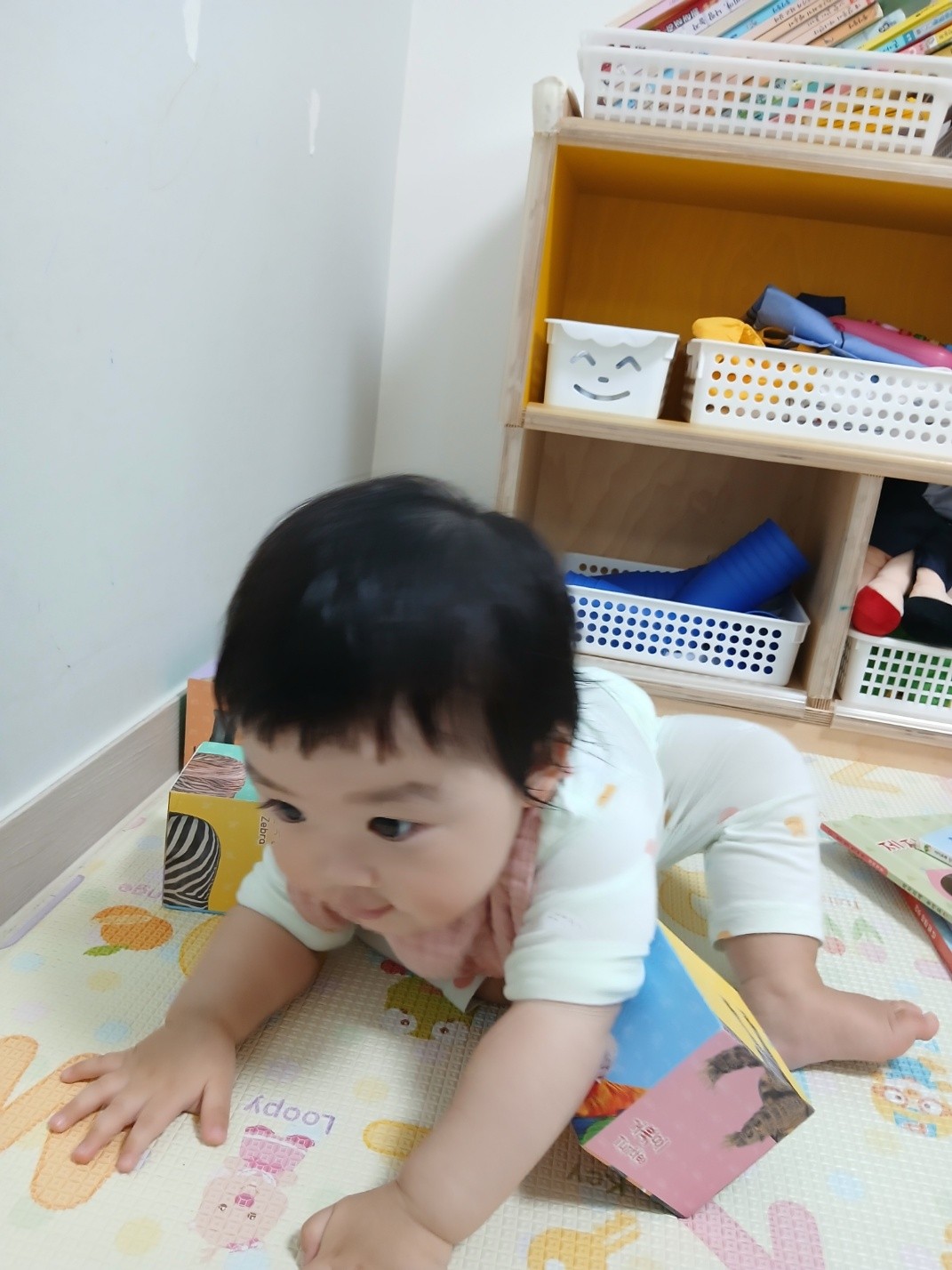 하린 어린이집 일상
