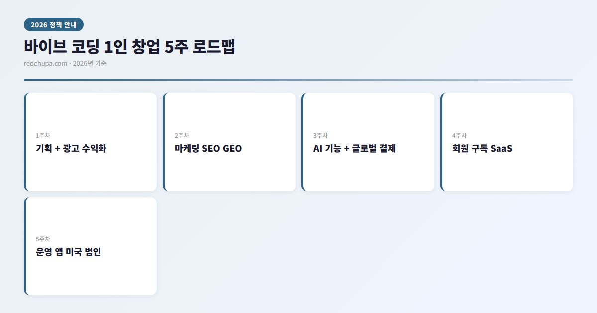 바이브 코딩 1인 창업 5주 로드맵 인포그래픽