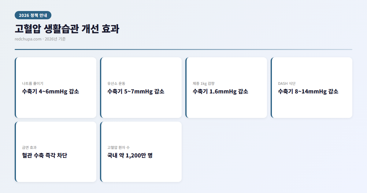 고혈압 생활습관 개선 효과 인포그래픽