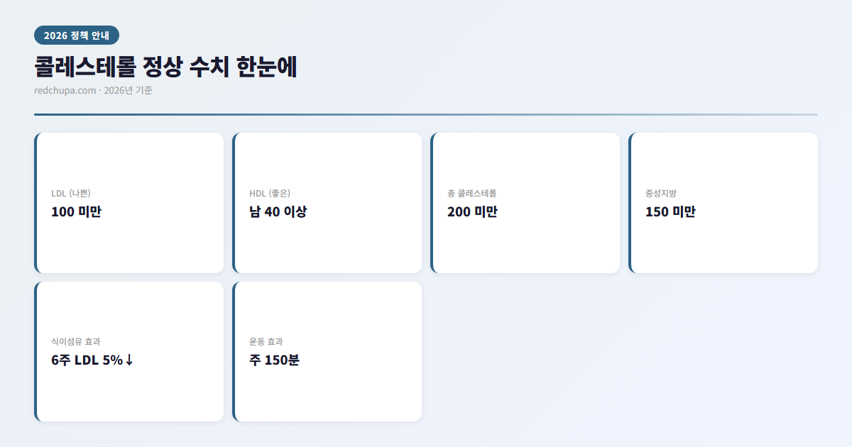 콜레스테롤 낮추는 법, 차근차근 정리해 봤다 3 콜레스테롤 정상 수치와 효과 인포그래픽