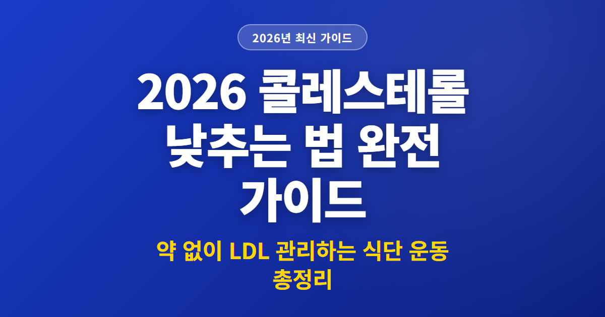 2026 콜레스테롤 낮추는 법 완전 가이드 | 약 없이 LDL 관리하는 식단 운동 총정리