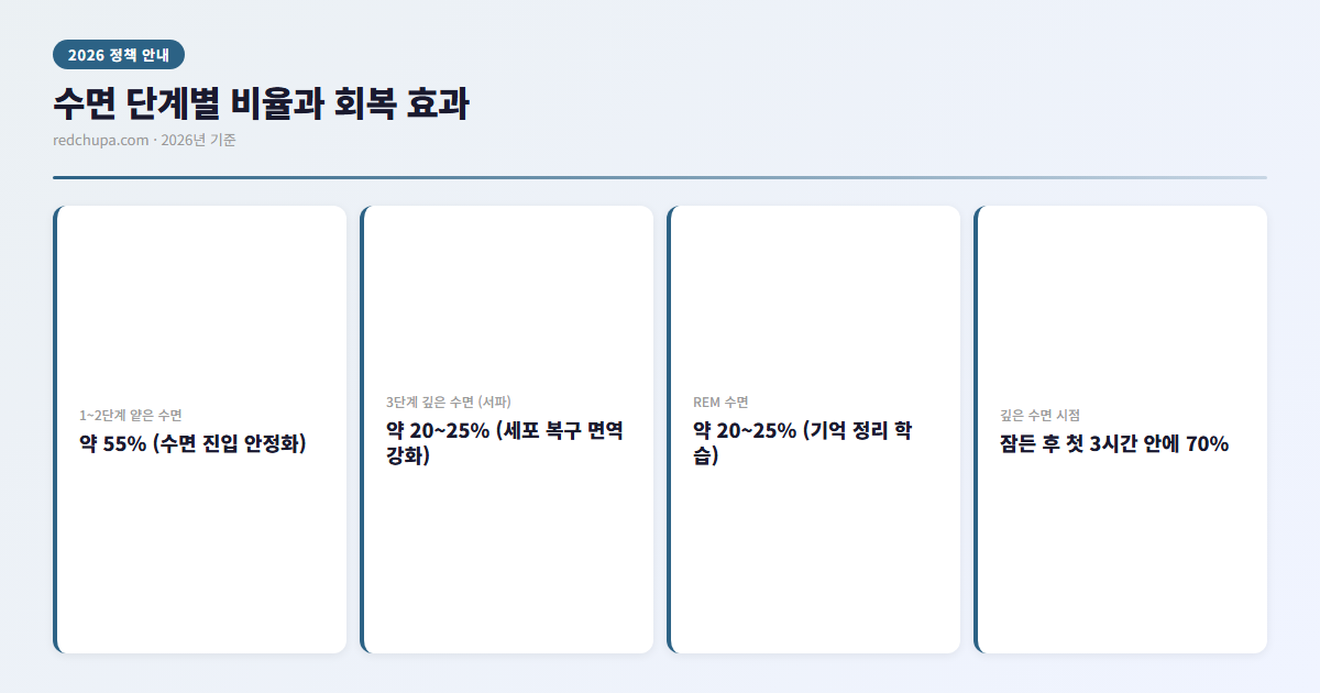 수면 단계별 비율과 회복 효과 인포그래픽