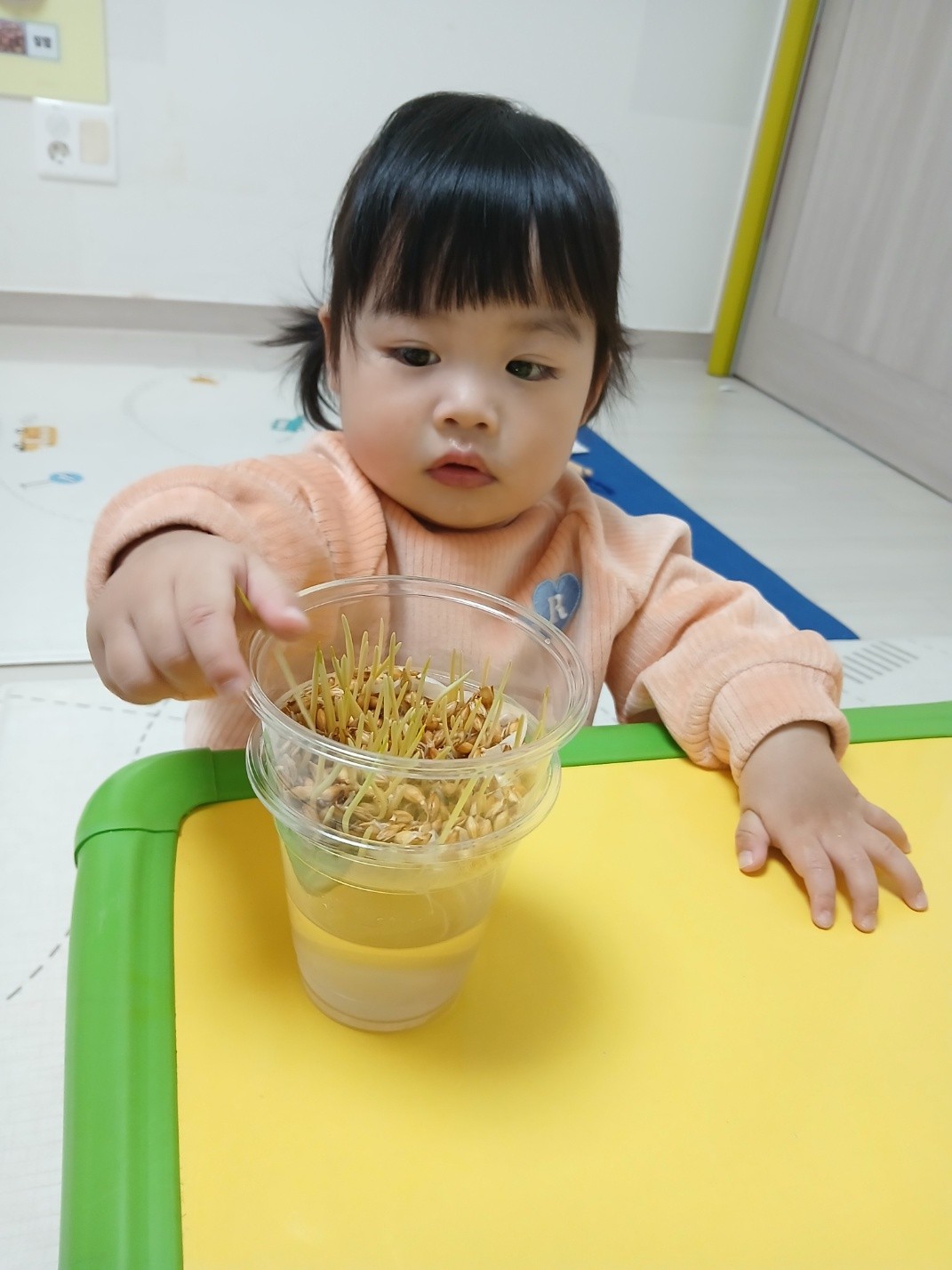 하린 어린이집 일상