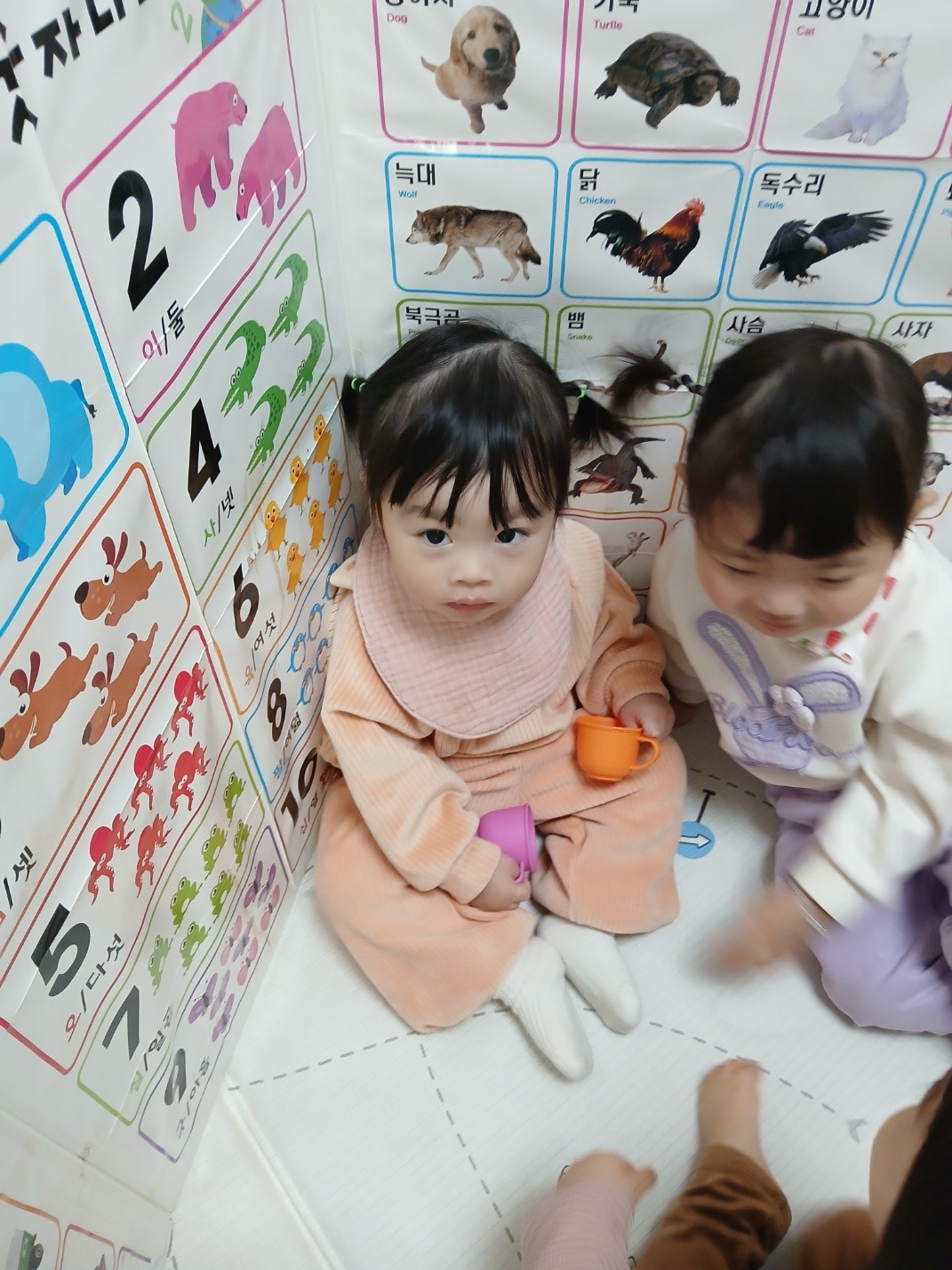 하린 어린이집 일상