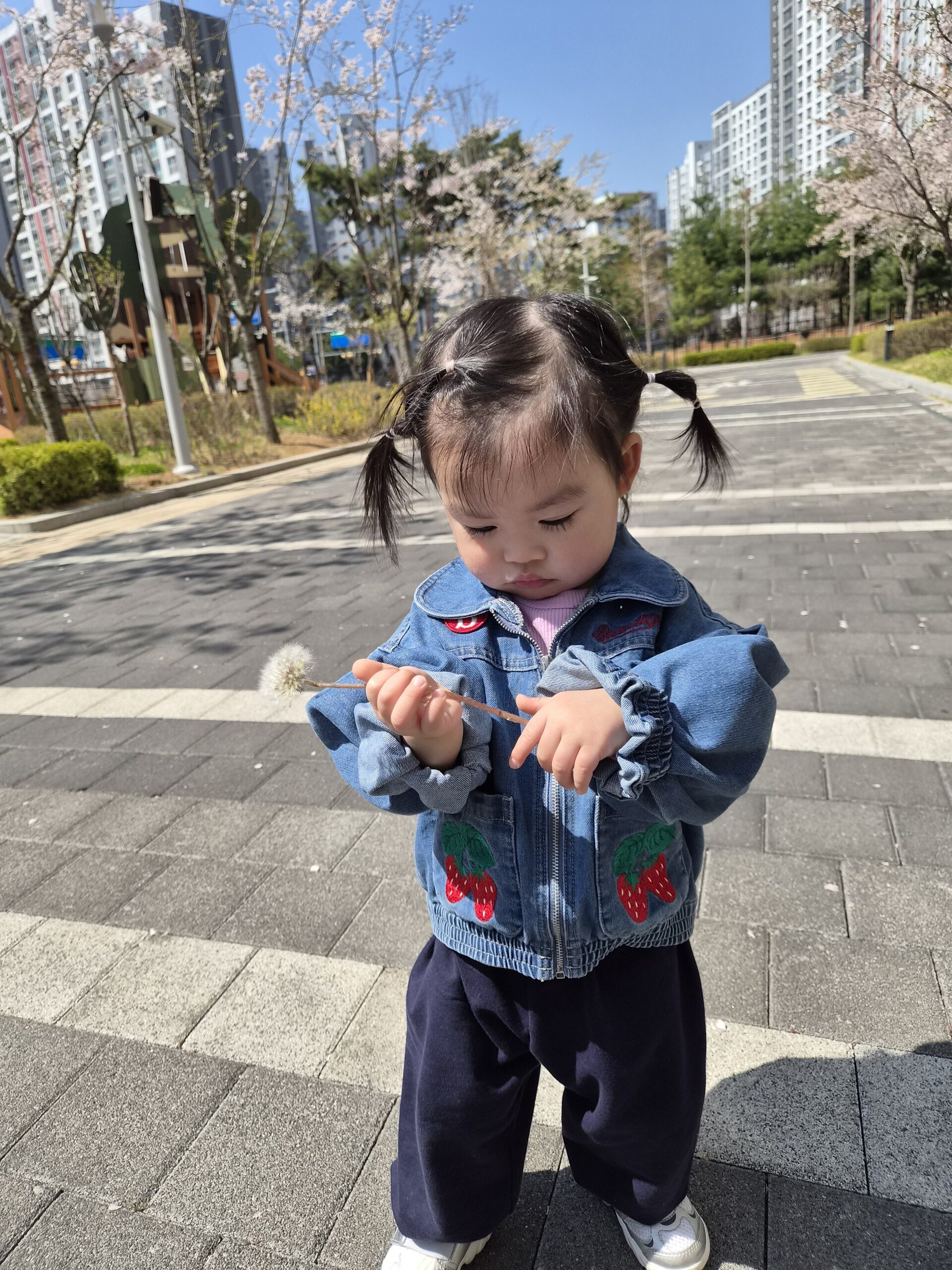 하린 어린이집 일상