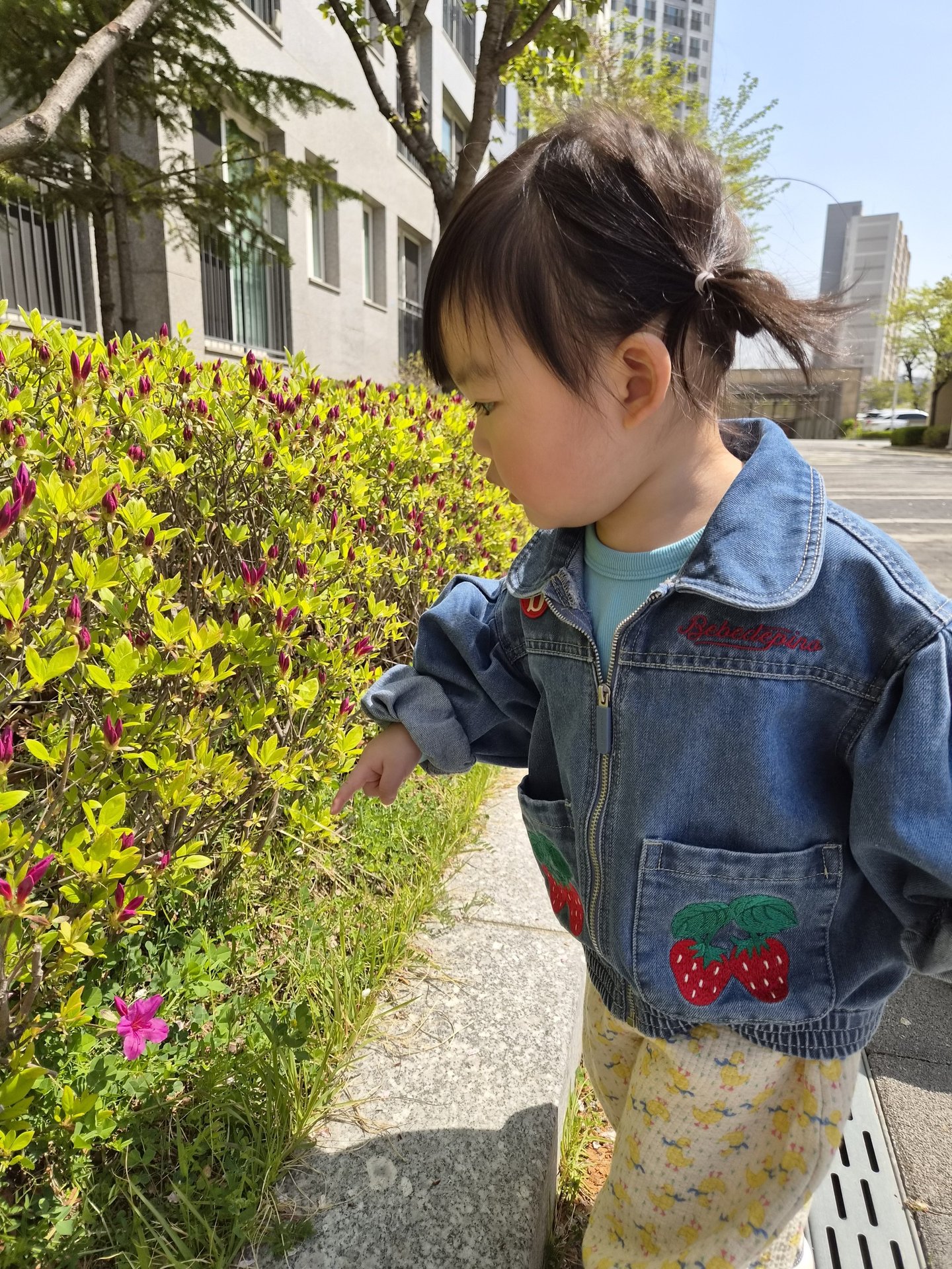 하린 어린이집 일상