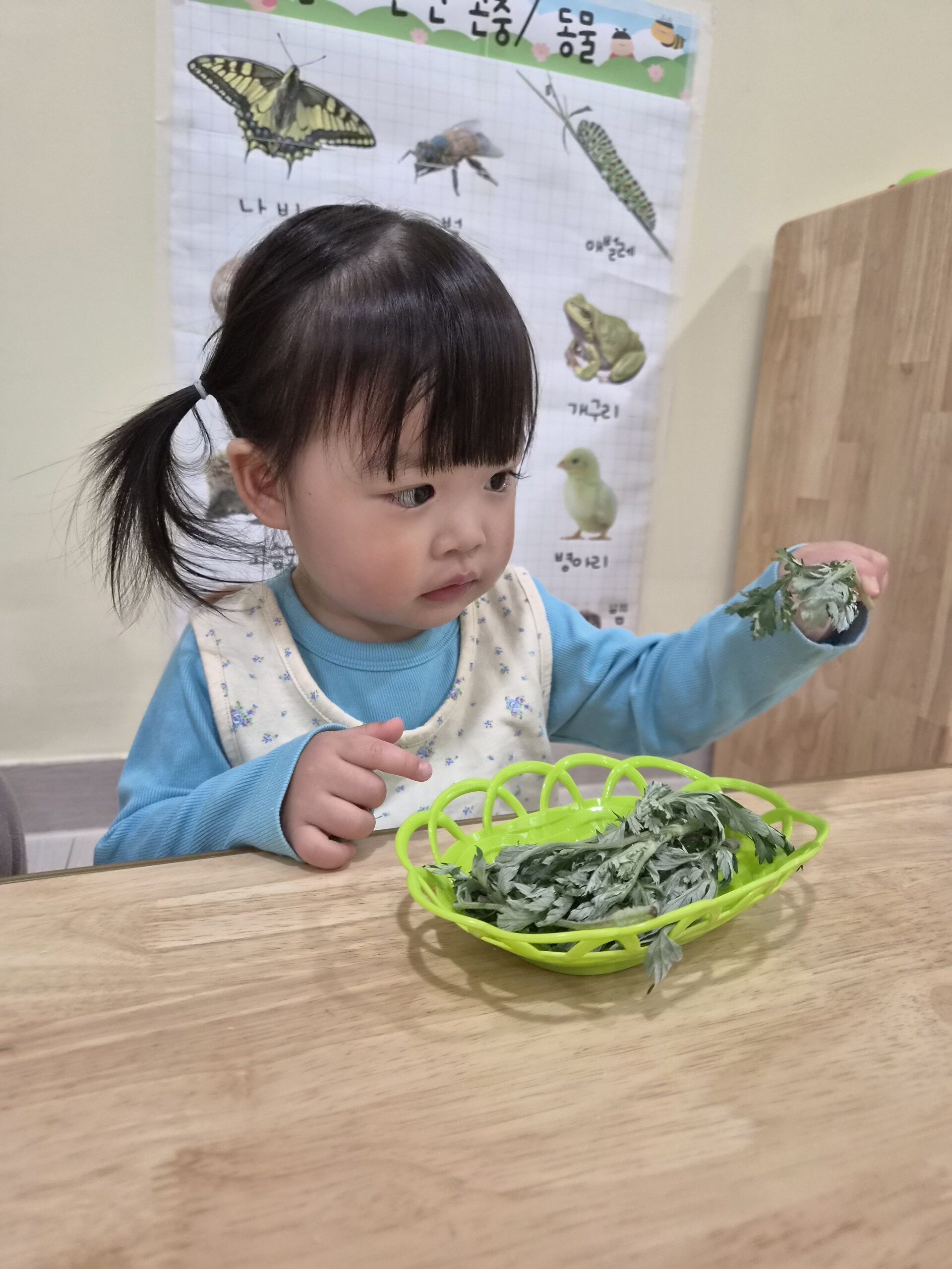 하린 어린이집 일상